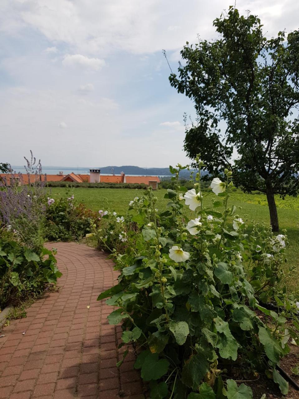 Koczor Winery & Guesthouse Balatonfured Exterior photo